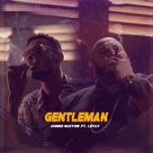 Gentleman (feat. L5vav) artwork