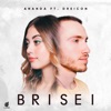 Brisei - Single