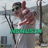 Nemusim artwork