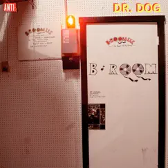 B-Room (Deluxe Edition) by Dr. Dog album reviews, ratings, credits