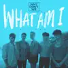 What Am I (Cash Cash Remix) - Single album lyrics, reviews, download