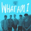 What Am I (Cash Cash Remix) - Single