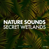 Secret Wetlands - EP artwork