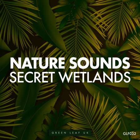 Secret Wetlands