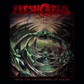 Into the Catacombs of Flesh artwork