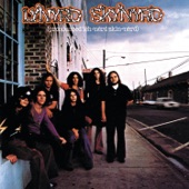 Lynyrd Skynyrd - Things Goin On