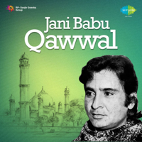 Jani Babu Qawwal - Jani Babu Qawwal artwork