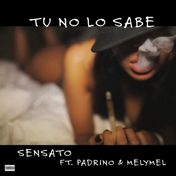 Cover artwork for Tu No Lo Sabe (feat. Melymel & Padrino)