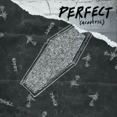 Perfect (Johan Lenox Live Strings Version) Song Lyrics