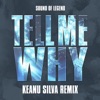 Tell Me Why (Keanu Silva Remix) - Single, 2019