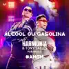 Álcool ou Gasolina - Single album lyrics, reviews, download