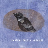 Radical Polish Ansambl artwork
