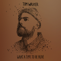 Better Half of Me-Tom Walker