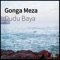 Gonga Meza - Dudu Baya lyrics