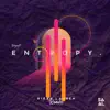 Entropy (Sigag Lauren Remix) - Single album lyrics, reviews, download