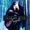 You Spin Me Round (Like a Record) by Dead Or Alive iTunes Track 20