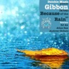 Gibbon - Because of the Rain (Allan Zax Remix)