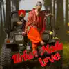 Urban Mode Love (feat. Ankit Tiwari , Payal Dev , Sunidhi Chauhan , Sunanda Sharma , Palak Muchhal , Ammy Virk , Sidhu Moose Wala & Jasmine Sandlas) - Single album lyrics, reviews, download