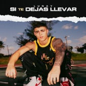 Si Te Dejas Llevar - EP artwork