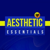 Aesthetic Essentials artwork