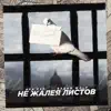 Не жалея листов - Single album lyrics, reviews, download