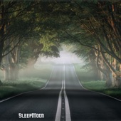 SleepMoon artwork