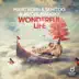 Wonderful Life - Single album cover