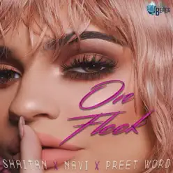 On Fleek - Single - NAVI On Fleek - Single - NAVI