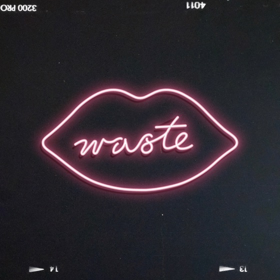 Cover artwork for waste