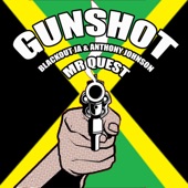 Anthony Johnson - Gunshot