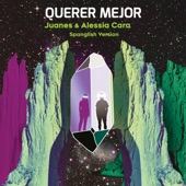 Querer Mejor (Spanglish Version) artwork