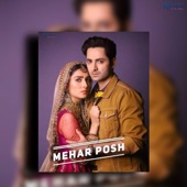 MeharPosh OST artwork