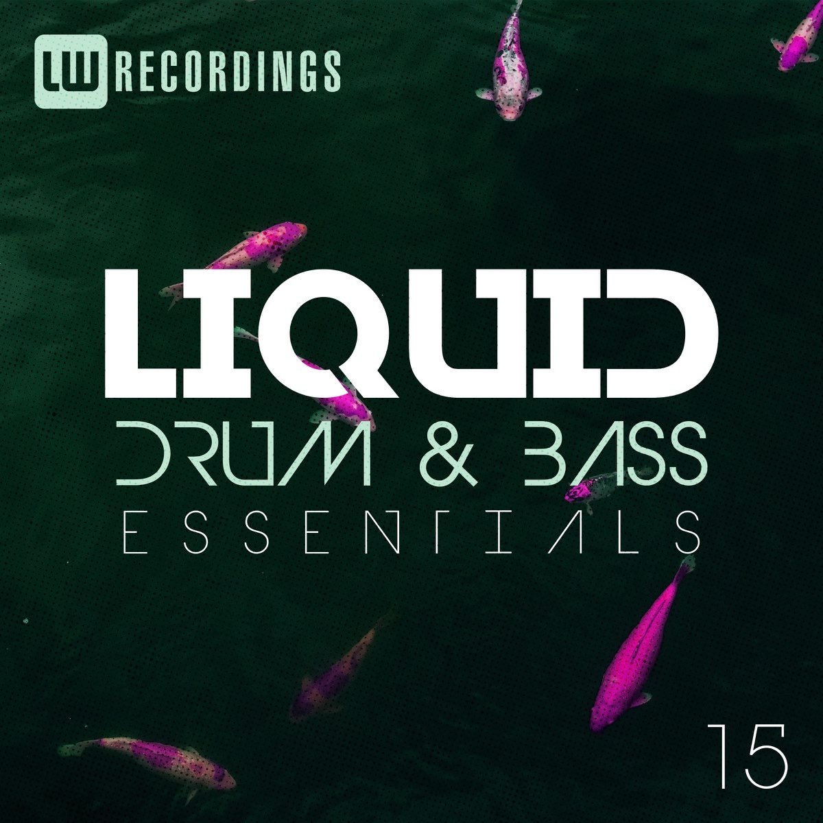 Liquid Funk. Liquid Drum and Bass. Record Liquid Funk. Liquid Funk/Drumfunk.