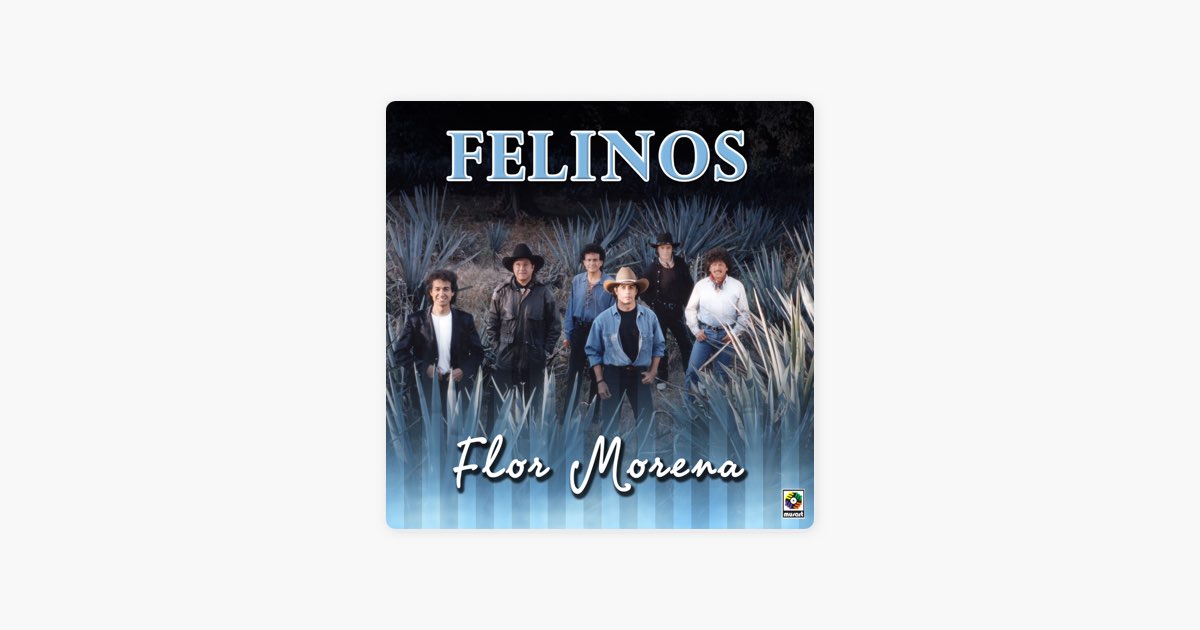 Busca Otro Amor de Los Felinos: canción en Apple Music