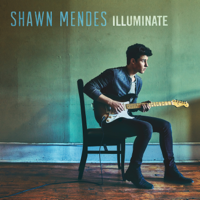 Shawn Mendes - Illuminate (Deluxe) artwork