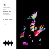 Adventure Club x Said the Sky feat. Caly Bevier - Already Know