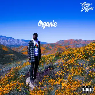 Organic by Casey Veggies album reviews, ratings, credits