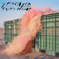 Yeasayer - Erotic Reruns artwork