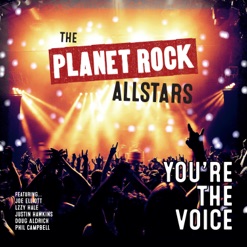 YOU'RE THE VOICE cover art
