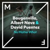 No Matter What - Single