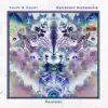 Astronaut Alchemists (Remixes) album lyrics, reviews, download