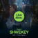 I Am Alive - Yaakov Shwekey