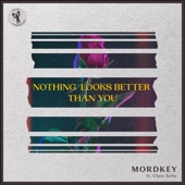 Nothing Looks Better Than You (feat. Clara Sofie) [Extended Mix] artwork