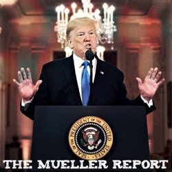 The Mueller Report