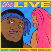She Live (feat. Megan Thee Stallion) artwork