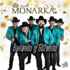 Bailando y Gozando - Single