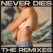 Never Dies (The Remixes) - EP artwork