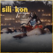 Sili-Kon artwork