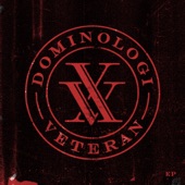 Dominologi XV Veteran artwork