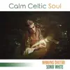 Calm Celtic Soul album lyrics, reviews, download